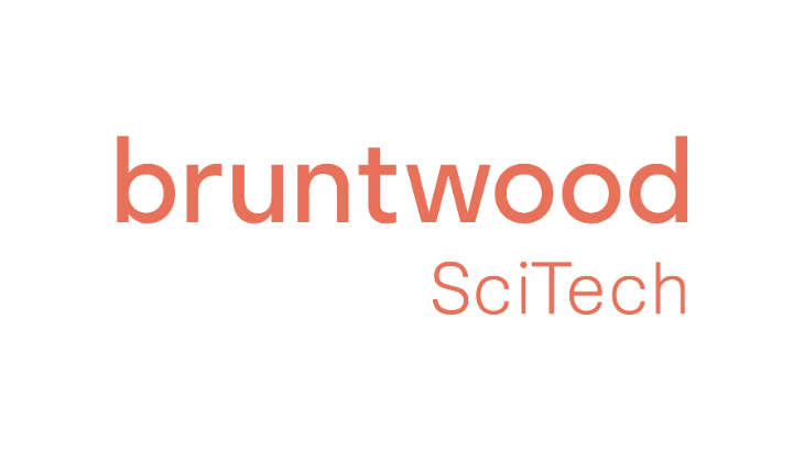 capital - resources - images - our partners - IMAGE - bruntwood logo 730x410