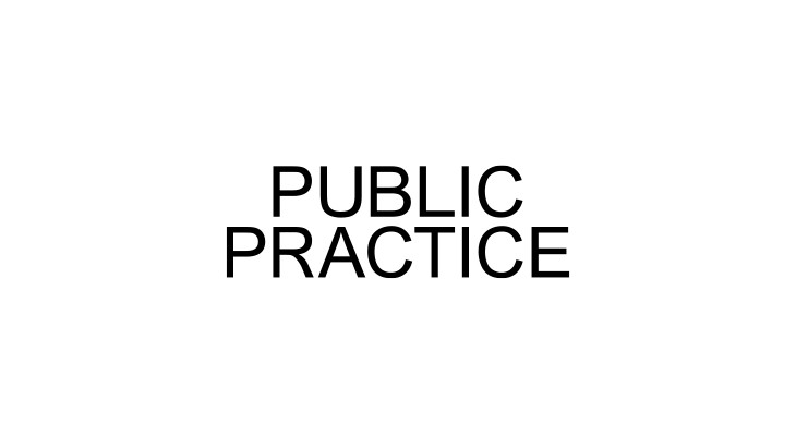 Public Practice logo